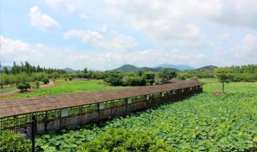 成功案例標(biāo)題